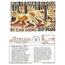 Postcard Advert Whipsnade Zoo c1932 By Car Using BP Plus - Nostalgia