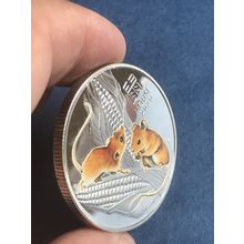 Year of the Mouse Silver coin comes in a protective plastic case Australian