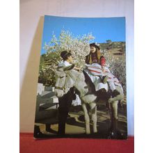 DONKEY, ALGARVE, PORTUGAL unused postcard =