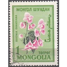 Mongolia 1960 Michel 191 O Cote (2006) 1.00 Euro Fleur Begonia grandis