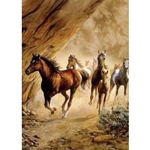 Sacred Passage - Tree Free Greeting Card - 30001