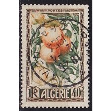 ALGERIEN ALGERIA [1950] MiNr 0292 ( O/used ) Pflanzen