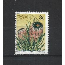 SouthAfrica.SG416 3c Protea Neriifolia.Fine Used.Sep25m