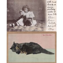 Girl Hypnosis With Cat Kitten You Dirty Boy 2x Old Postcard s