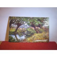 WILLOWS, COUNTRY CHARMS unused antique postcard, Raphael Tuck 'Oilette' =