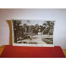 Kensington. THE DERRY ROOF GARDENS, London unused vint postcard RP c.1950s =
