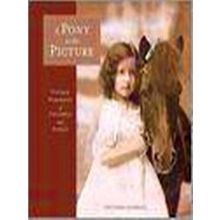 A Pony In The Picture