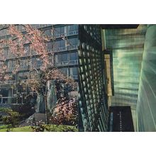 United Nations Main Conference Hall Gardens 2x Postcard s
