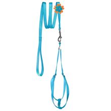 Step-In Nylon Harness + Optional Flower Leash - G16-19"- Blue