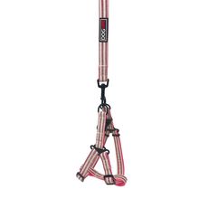 Nylon Stripe Designer Step-In Harness with 4' Leash W3/4" x G18"-25" Pink