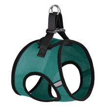 York Nylon Mesh Harness Teal 22"-24"