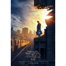 Fantastic Beasts and Where to Find Them (2016)_2 Movie Film Poster Canvas iconic