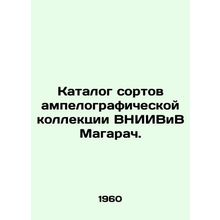 Catalogue of varieties of the ampelographic collection of VNIIVIV Magarach./Kat