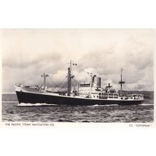 SS Cotopaxi Pacific Steam Navigation Company Ship Old RPC Postcard