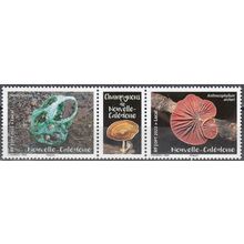 Nouvelle-Caledonie 2022 Champignons Neuf **
