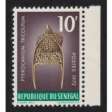 Senegal 'Pterocanium tricolpum' Protozoans Marine Life 1972 MNH SG#508 MI#506