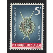 Senegal 'Amphicraspedum murrayanum' Protozoans Marine Life 1972 MNH SG#507