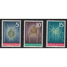 Senegal Protozoans and Marine Life 3v 1972 MNH SG#507-509 MI#505-507