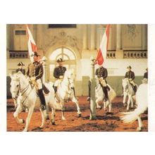 Quadrille Spanish Riding School Of Vienna Postcard