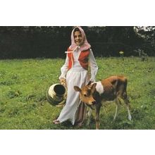 Jersey Island Cow Calf + Girl Costume Fashion Postcard