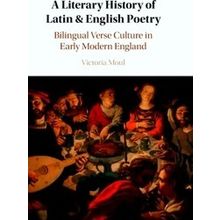A Literary History of Latin & English Poetry