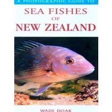 Photographic Guide To Sea Fishes Of New Zealand