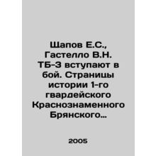 Shchapov E.S., Gastello V.N. TB-3 go into battle. Pages of history of the 1st