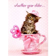 Another Year Older - Birthday Greeting Card - 761