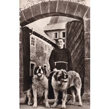 Naturpark Rhon German St Bernard Dog Monk Real Photo Postcard