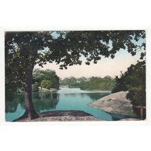 Hollow Pond Whipps Cross London Postcard 11166