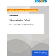 Wirtschaftsfaktor Fussball