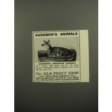 1953 The Old Print Shop Ad - Audubon's Animals