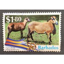 Barbados 2016 50th Anniversary of Independence SG 1458 $1 80c Barbados Sheep