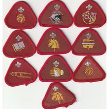 Scout Badges - 10 x Cub Proficiency 1967/03 - 8 x Black Backs 2 x White (BY301)