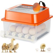 Egg Incubator, Incubators for Hatching Eggs, Automatic Egg Turner with with ...