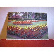 ALBERT PARK, MIDDLESBROUGH, YORKSHIRE by Carlton W. I. unused postcard =