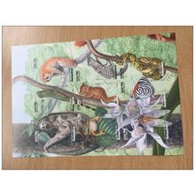 Madagascar 1999 Mi. 2160-68 Fauna Leopard Monkey butterfly **MNH IMPERF ND