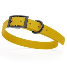Dog Pet Waterproof Collar - W3/4" x L15"-18" - Treasure Gold
