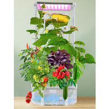 Hydroponics Growing System Kit with Trellis,Smart Hydroponic Gardening System wi
