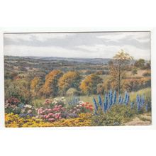 The Kentish Hills from Goudhurst A Quinton Art Postcard Kent J Salmon 3471