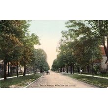 Bruce Avenue Windsor Ontario Antique Canada Canadian Postcard