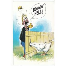 Biting Duck Bamforth Postcard Comic Funny No 160