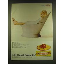 1966 Kraft Velveeta Cheese Ad - Full of health from milk