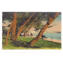 A TRAVERS LES PINS, LA ROCHELLE, FRANCE. used vintage postcard 1927 postmark