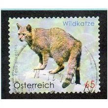 AUT 2010 65c 'FAUNA -WILDCAT' FINE USED (EBID16049)