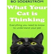 What Your Cat Is Thinking