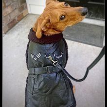 Black Top Flight Coat X-Large