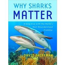 Why Sharks Matter