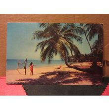 the beach, KINGSTON, Jamaica used postcard 1964 pm =