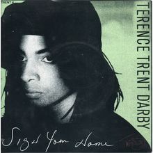 Terence Trent D'arby - Sign your name 1987 7" single vinyl record TRENT4